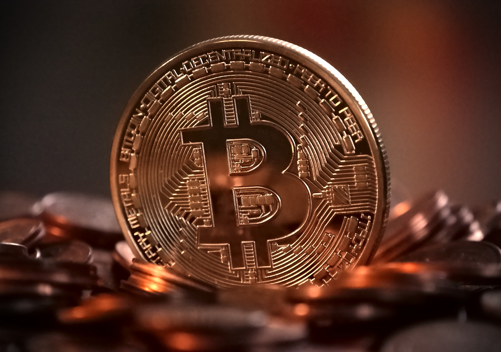 Bitcoin merită o investiție pe termen lung etapa de investiții bitcoin